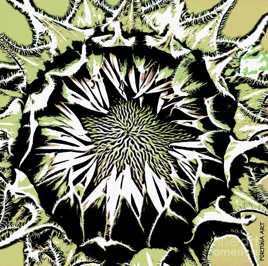 Sunflower1 Digital Art by Dragica  Micki Fortuna