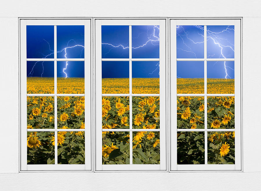 Summer Photograph - Sunflowers and Lightning 24 Pane Window View by James BO Insogna