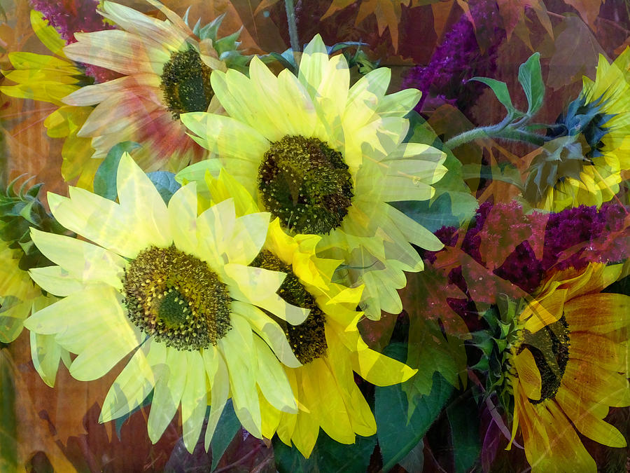 Fall Photograph - Sunflowers and Maple Leaves by Lyn  Perry