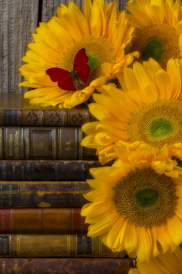 Sunflower Photograph - Sunflowers and old books by Garry Gay