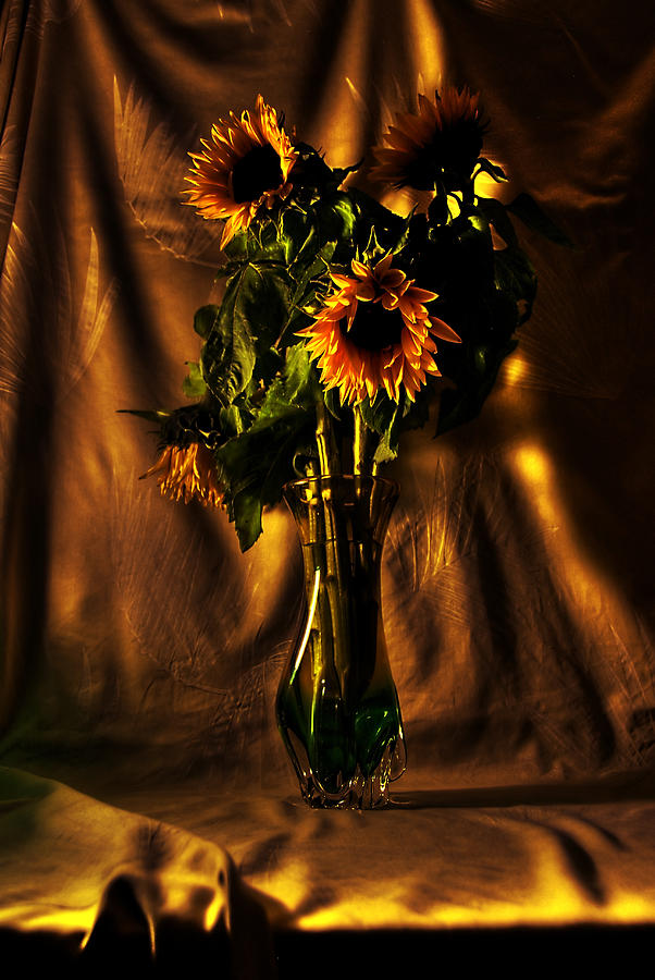 Sunflowers Photograph by Andrei SKY