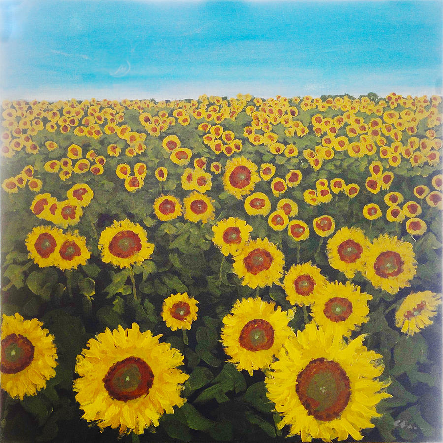 Sunflowers Painting by Cliff Caron - Fine Art America