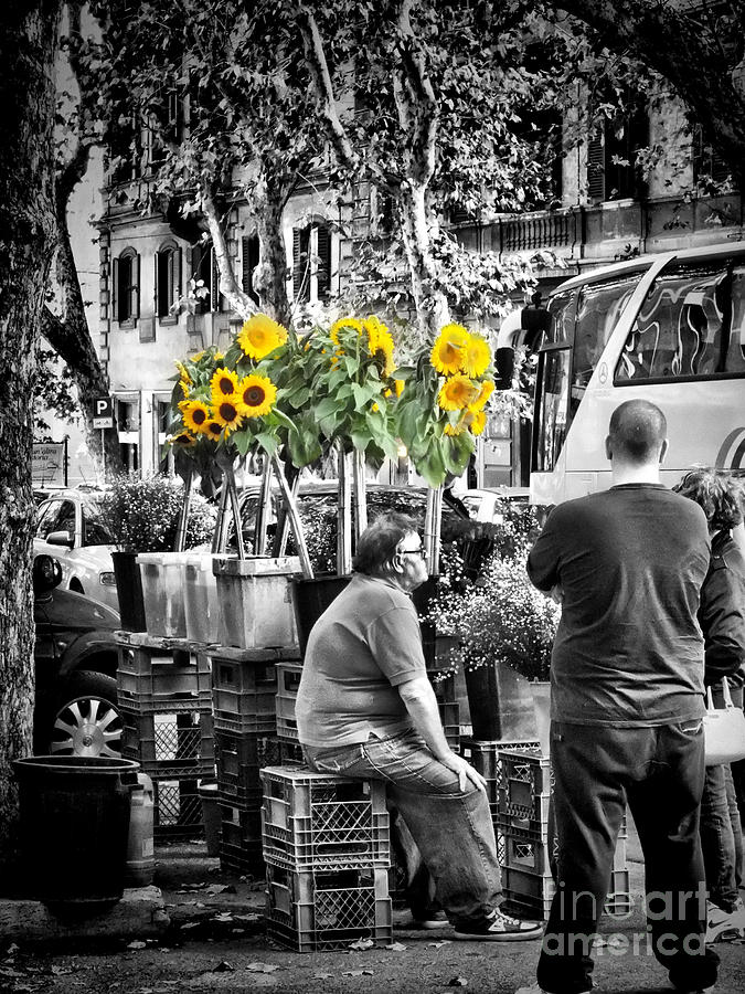 Flower Photograph - Sunflowers for Sale by Karen Lindale