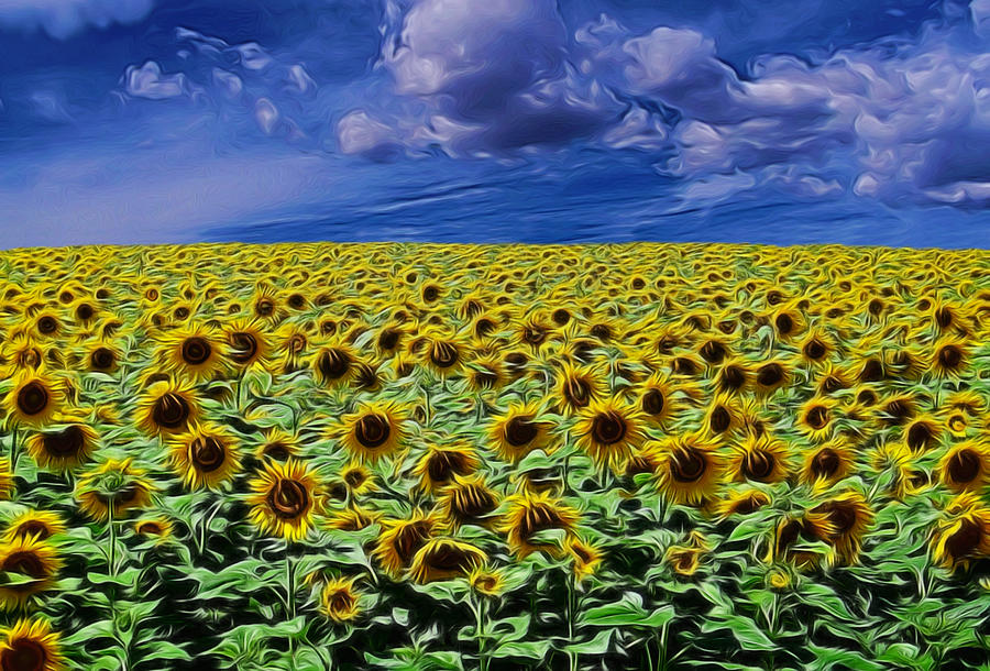 Sunflowers Forever Digital Art Digital Art by Ernest Echols
