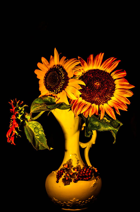 Sunflowers Photograph by Gerald Kloss