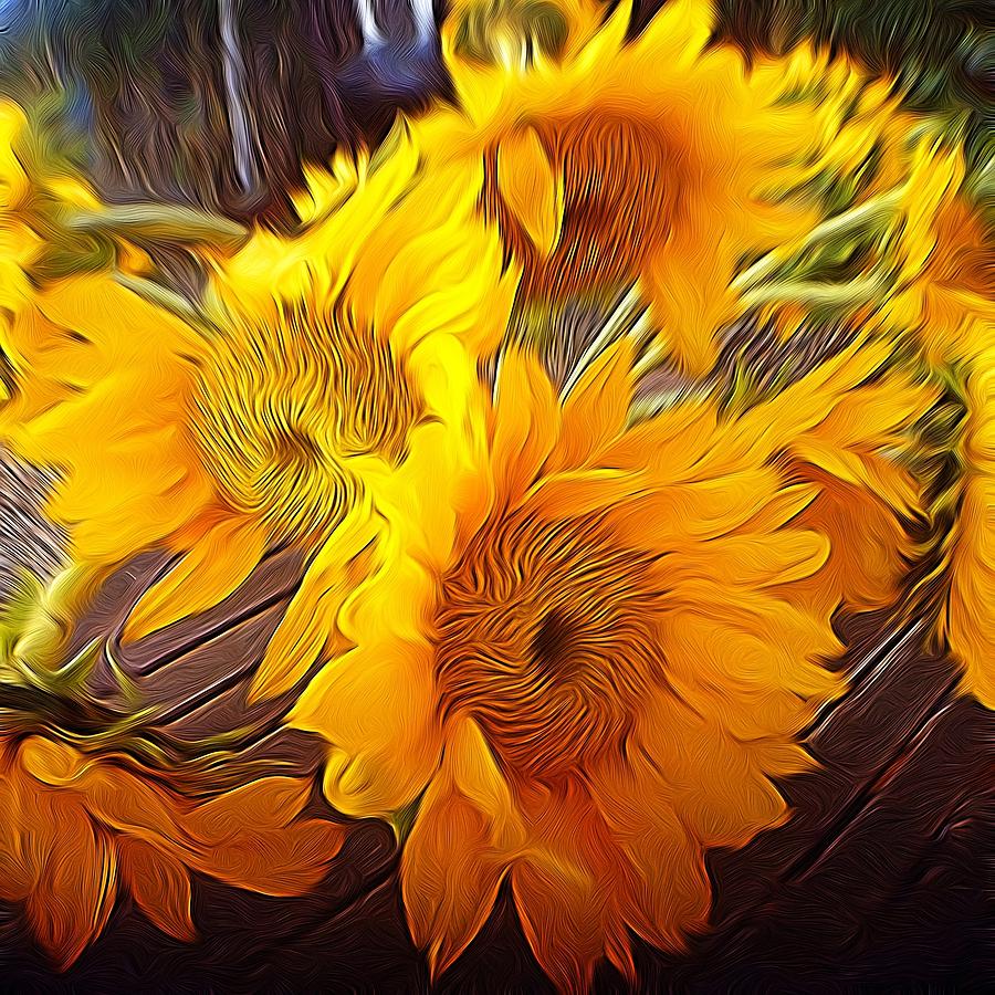 Sunflowers in December Photograph by Anne Thurston