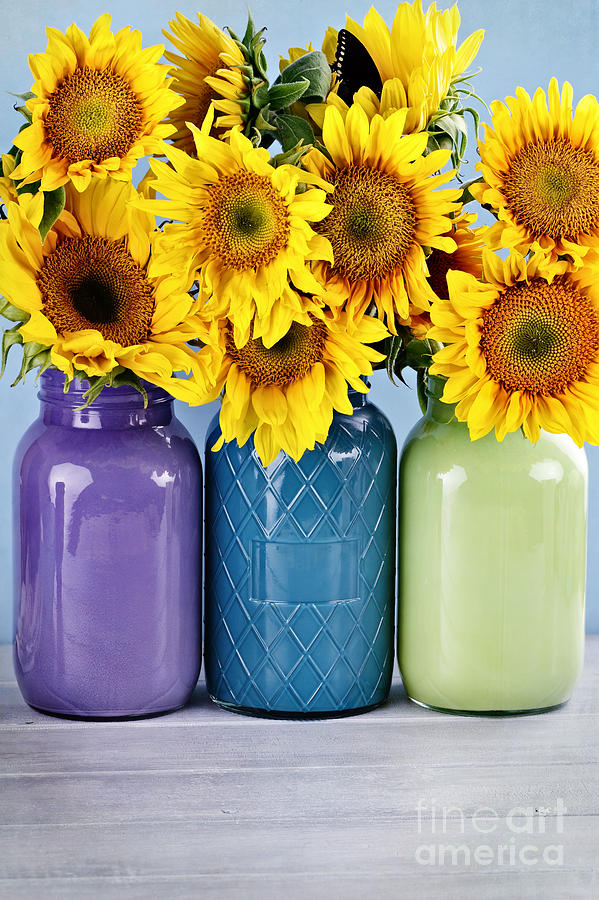 Sunflowers in Painted Mason Jars Photograph by Stephanie Frey