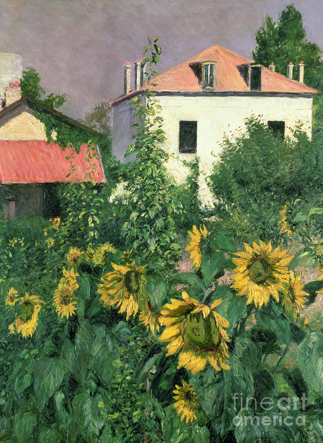 Sunflowers in the Garden at Petit Gennevilliers  Painting by Gustave Caillebotte