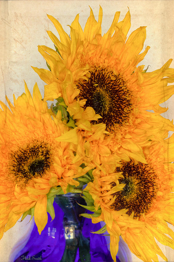 Sunflowers Inspired by Van Gogh Photograph by Heidi Smith