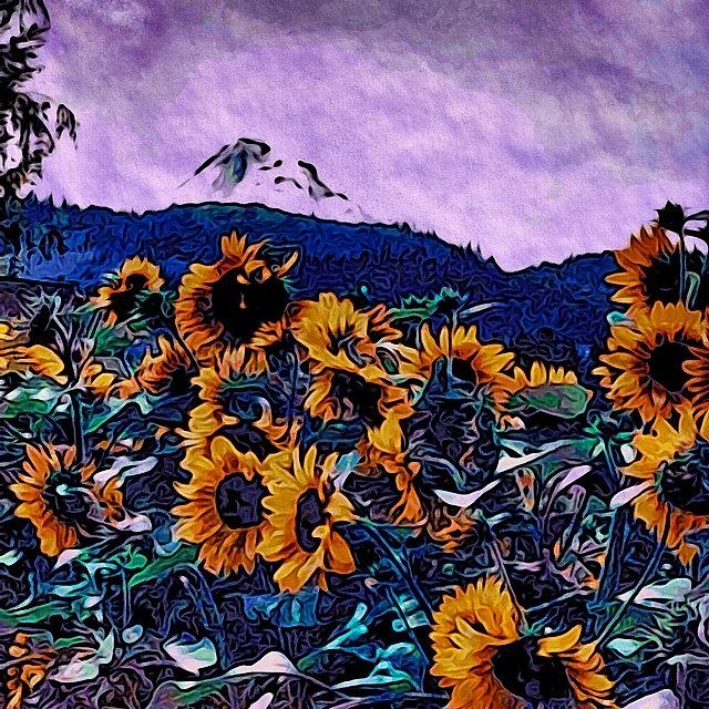 Flower Photograph - #sunflowers #mthood #oregon #trees by Steven Shewach