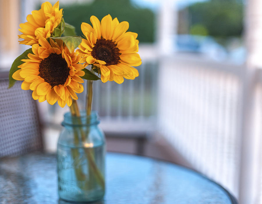 Sunflowers on The Porch Photograph by Terry DeLuco
