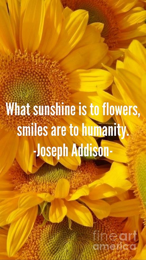 Sunflowers Quote Photograph by Susan Garren