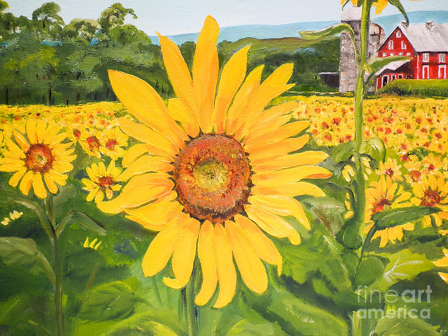 Sunflowers - Red Barn - Pennsylvania Painting by Jan Dappen