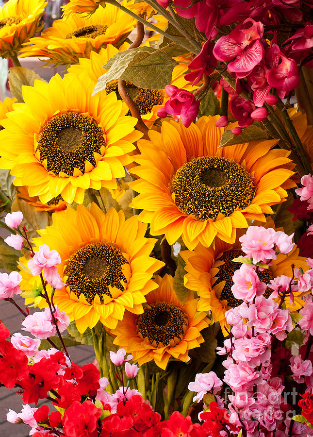 Sunflowers Photograph by Rick Piper Photography