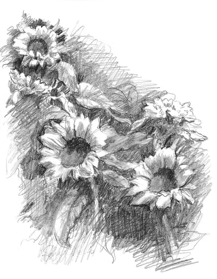 Sunflowers Drawing by Sarah Parks