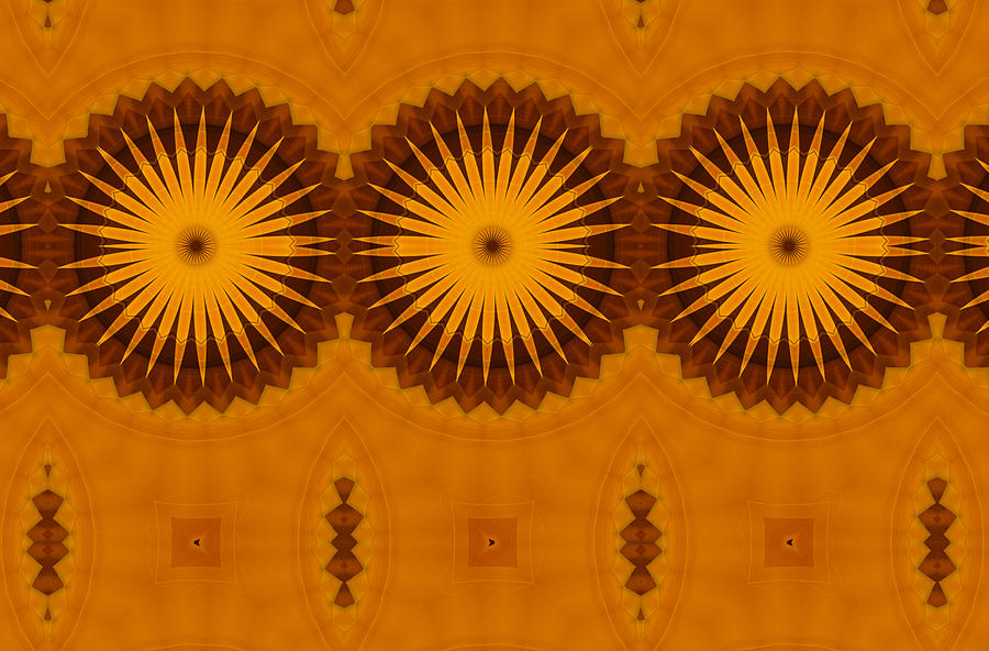 Abstract Digital Art - Sunflowers by Georgiana Romanovna