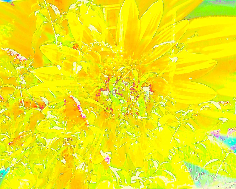sunGlints golden Photograph