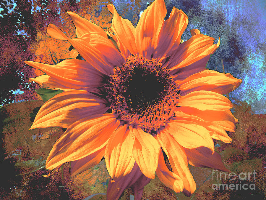 Inspirational Photograph - Sunhappy Art by Beverly Guilliams