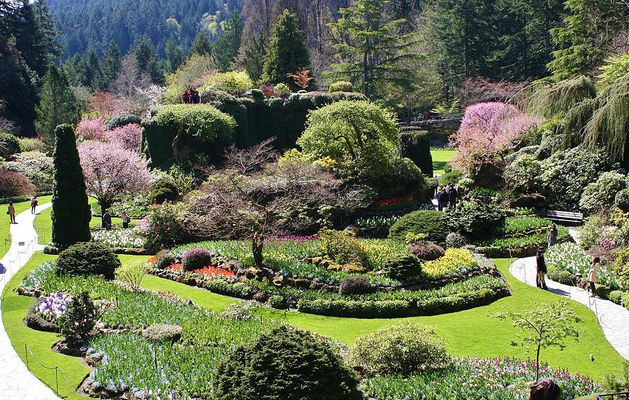 Sunken Garden of Burchart Photograph by Bruce Bley - Fine Art America