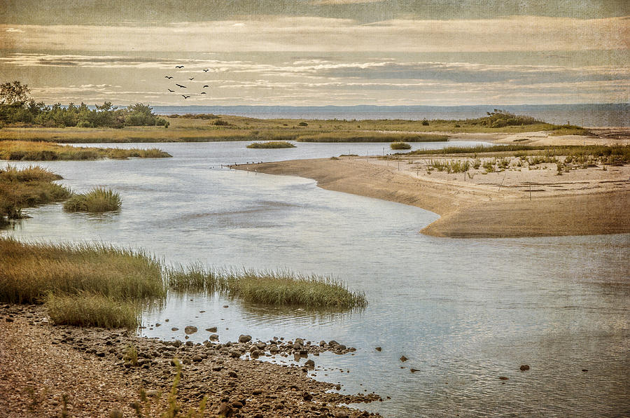 Sunken Meadow Photograph by Cathy Kovarik