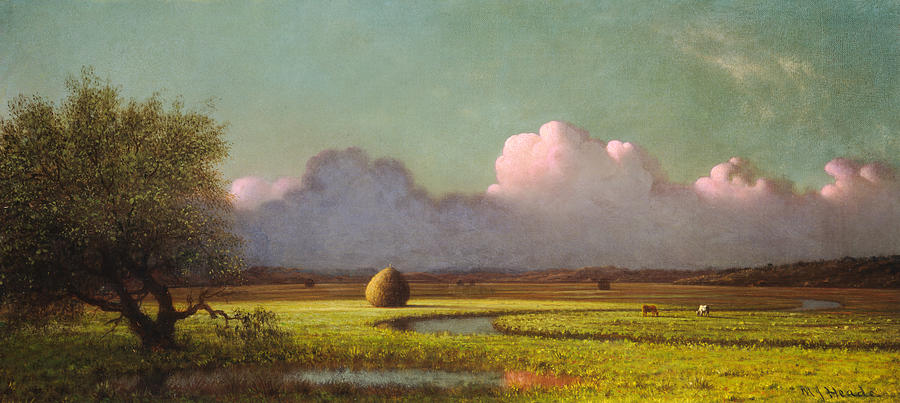 Sunlight and Shadow. The Newbury Marshes Painting by Martin Johnson Heade