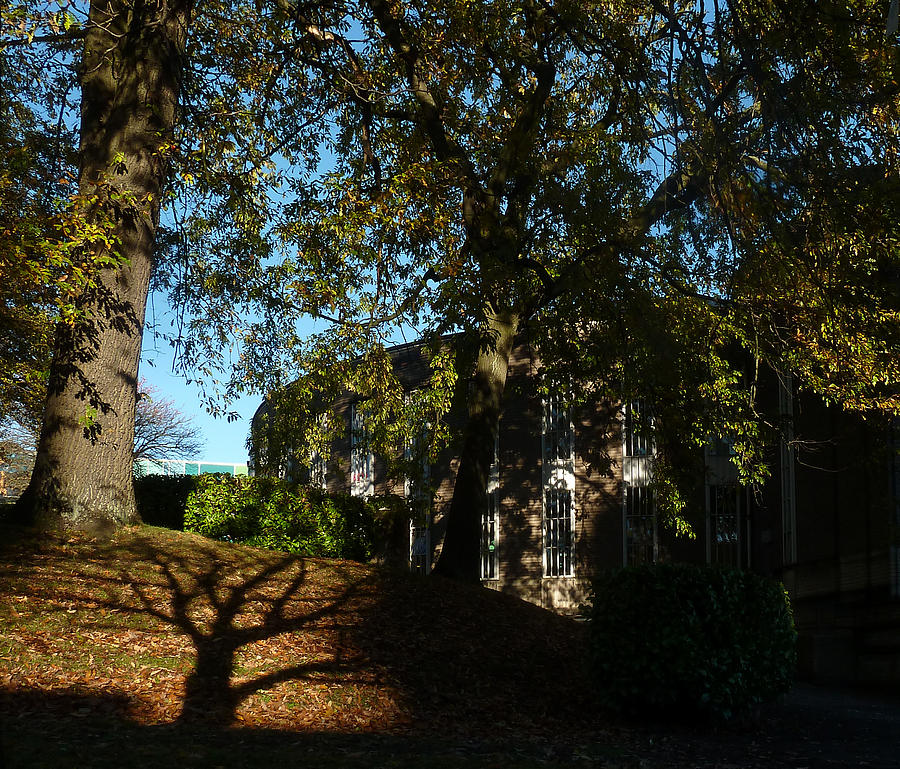 Sunlight And Shadows On A Sunny Autumnal Day Photograph by Baato Sunlight And Shadows On A Sunny Autumnal Day Photograph by Baato