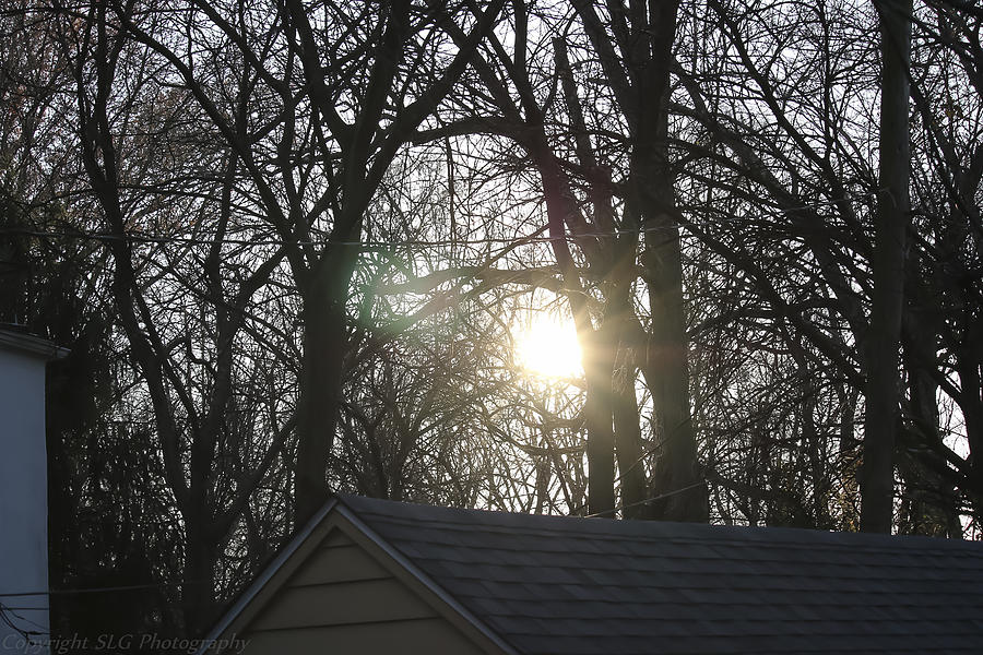 Garage Photograph - Sunlight by Stacie Goodloe Garage Photograph - Sunlight by Stacie Goodloe