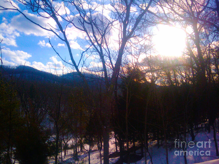 Landscape Photograph - Sunlight Winter Pines by Seay Harshaw Delgado