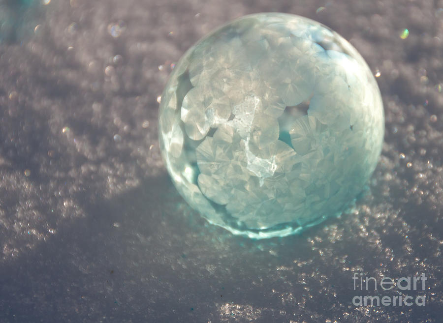 Sunlit Blue Bubble Photograph by Cheryl Baxter