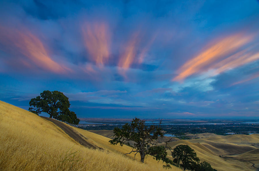 Sunlit Clouds At Sunrise Photograph by Marc Crumpler