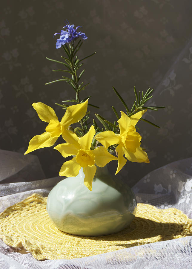 Sunlit Daffodils in a Celadon Vase Photograph by MM Anderson