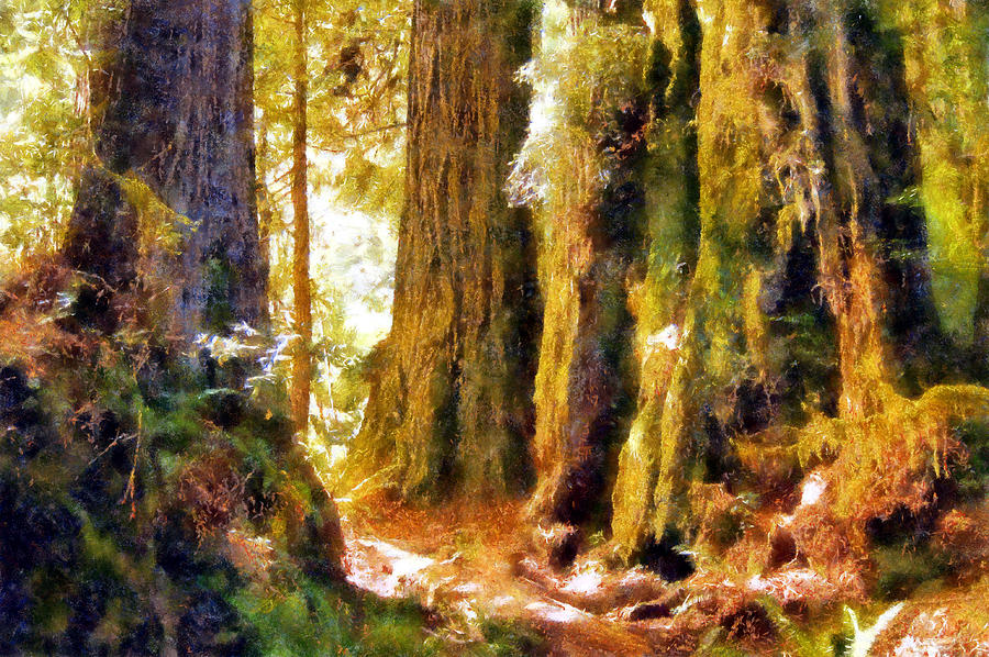Sunlit Damnation Creek Trail Digital Art by Kaylee Mason