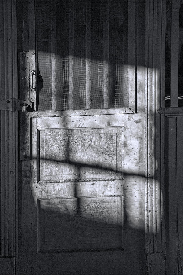 Sunlit Door in Black and White Photograph by Randall Nyhof