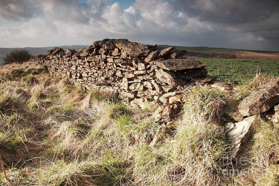 Farm Photograph - Sunlit dry stone wall by Deborah Benbrook