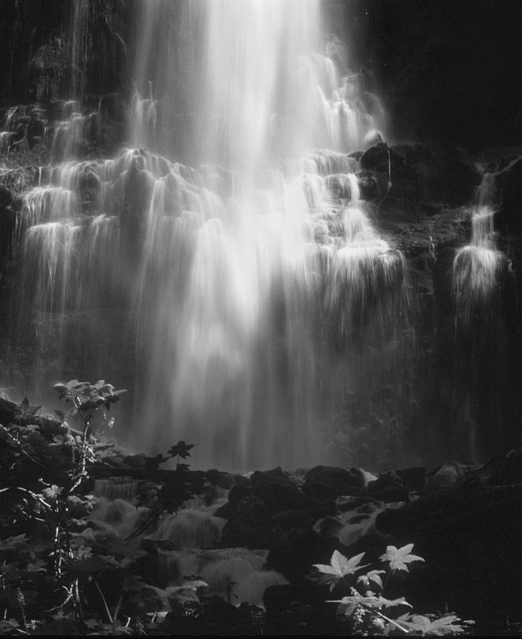 Sunlit Falls Photograph by Shirley D Cross