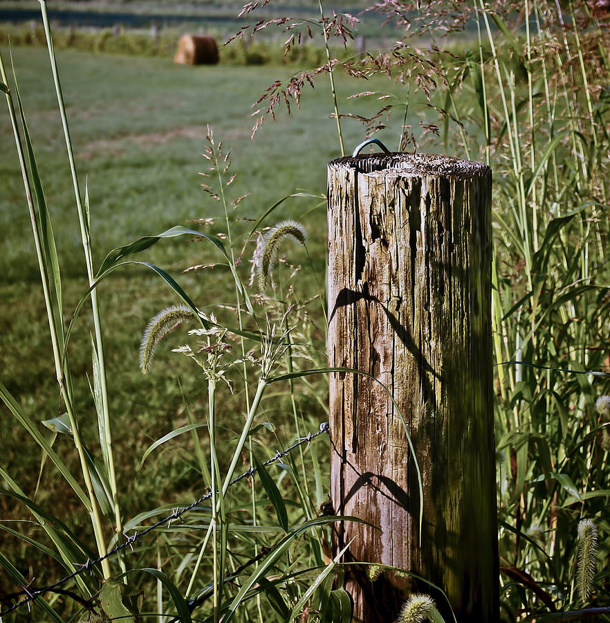 Sunlit Fence Post - 2 Photograph by Greg Jackson