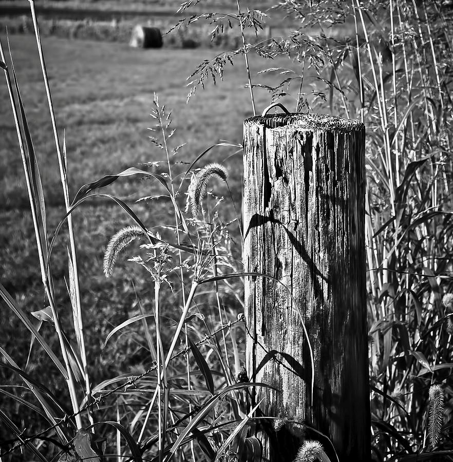 Sunlit Fence Post in b/w Photograph by Greg Jackson