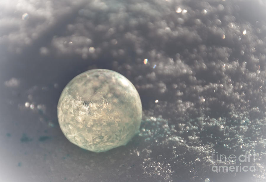Sunlit Frozen Bubble Photograph