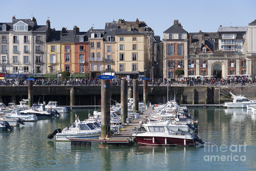 Sunlit Harbour Photograph by Wendy Smith - Fine Art America