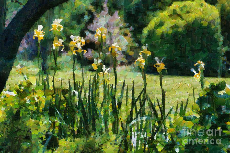 Sunlit irises Digital Art by Fran Woods