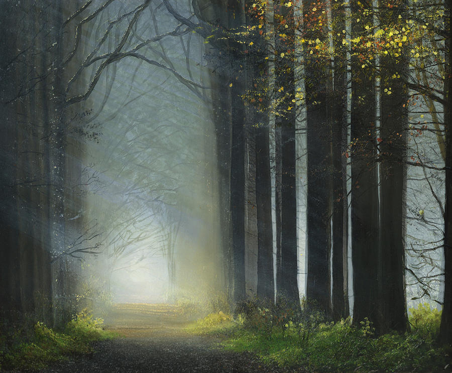 Sunlit Path Painting by Cecilia Brendel