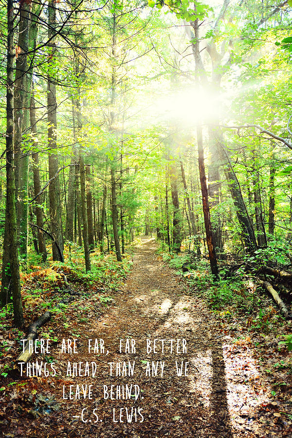 Sunlit Path- Far Better Things Ahead quote Photograph by Melissa Wegner ...