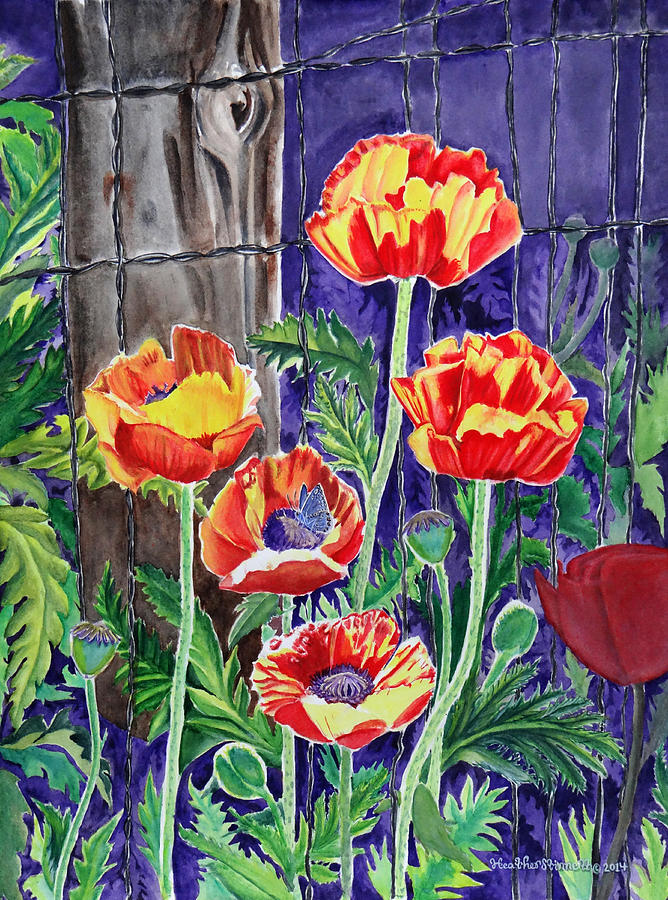 Poppy Painting - Sunlit Poppies by Heather Stinnett