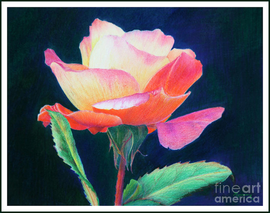 Sunlit Rose Painting by Mariarosa Rockefeller