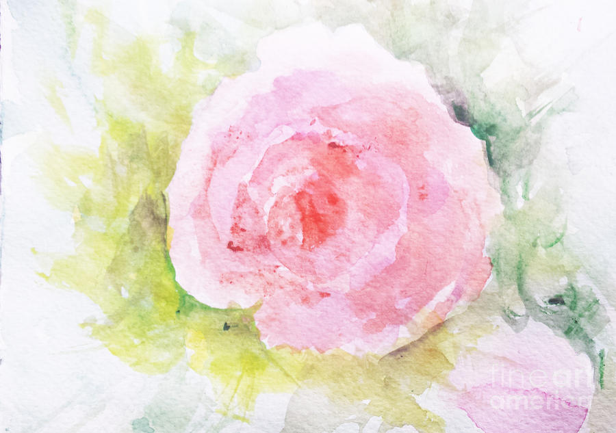 Sunlit Rose Painting by Trilby Cole