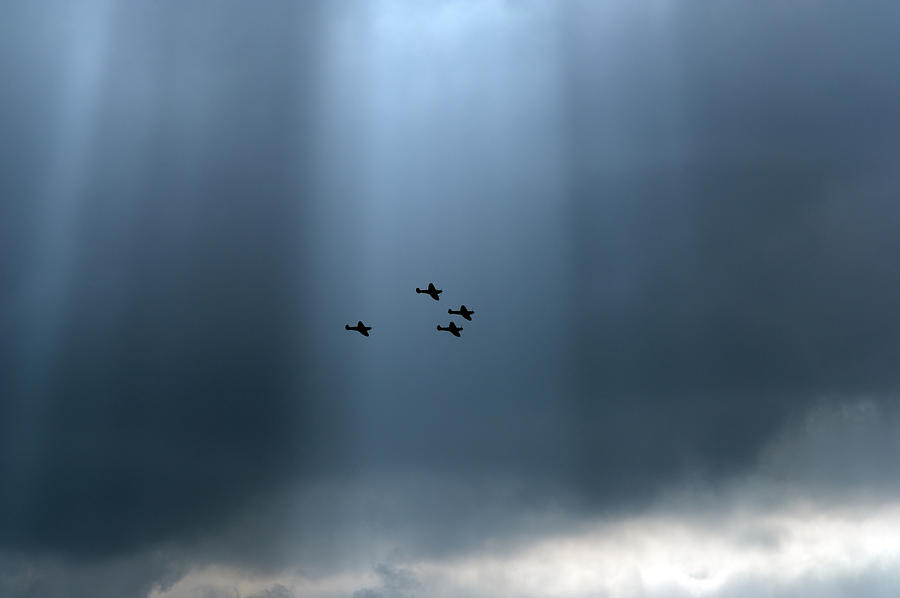 Sunlit Spitfires Photograph by Gary Eason