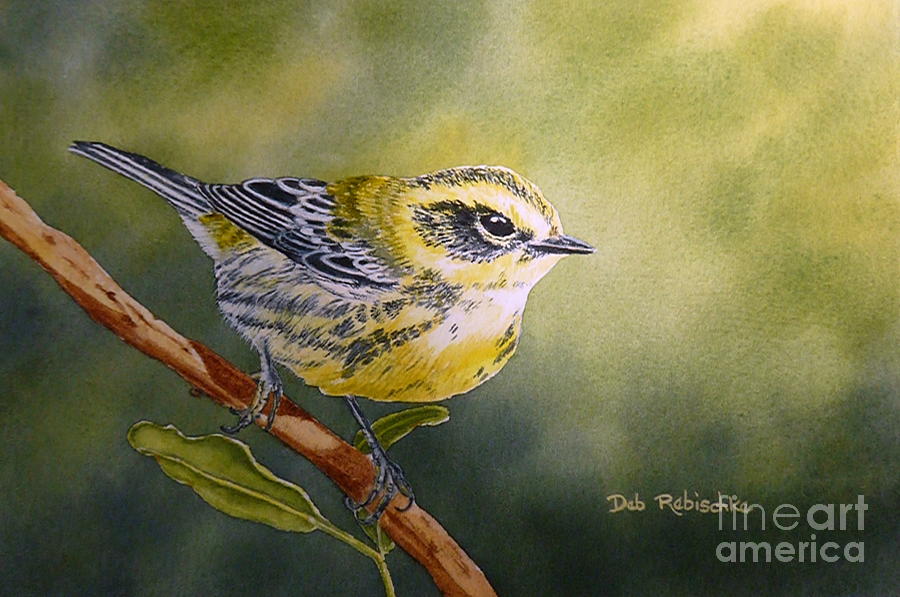 Sunlit Warbler Painting by Debi Rebischke - Pixels