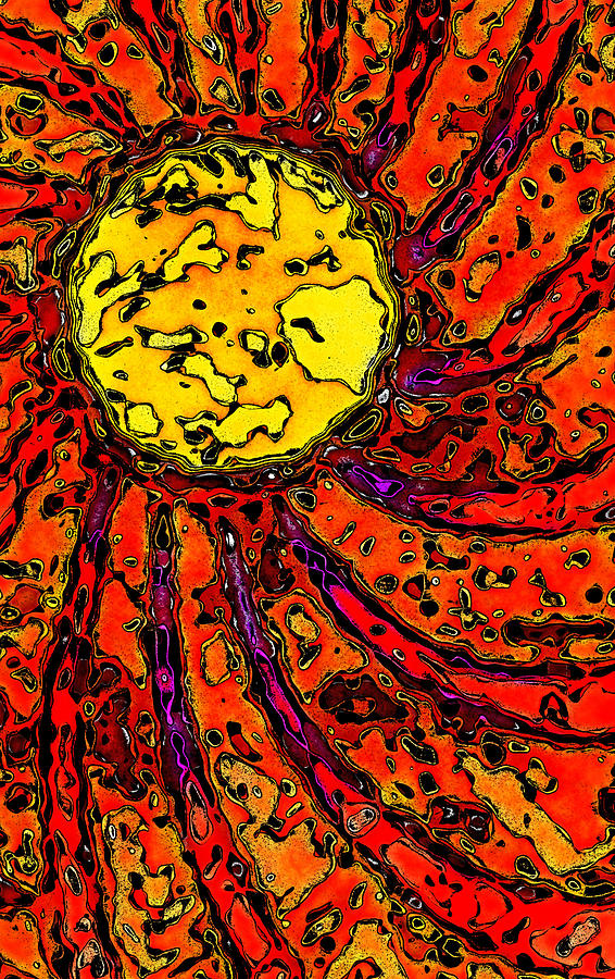 Sunny and Warm Today Digital Art by David G Paul