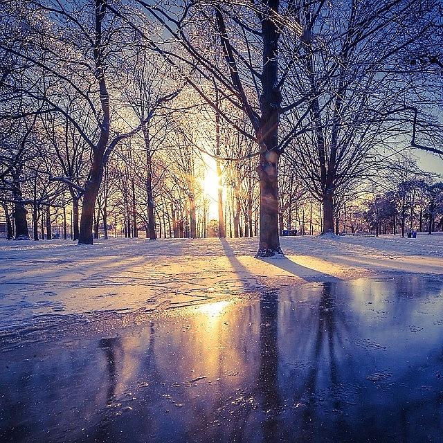 Winter Photograph - Sunny And Wintry #toronto #canada by Bruce Wang