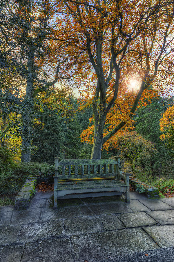 Sunny Autumn Bench Photograph by Ian Mitchell